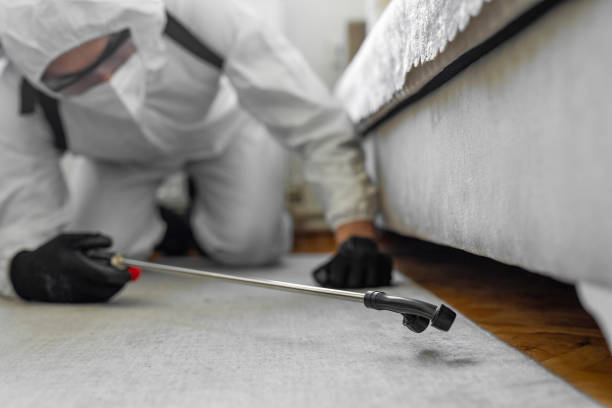 Professional Bed Bug Control technician working in Wheatland, CA